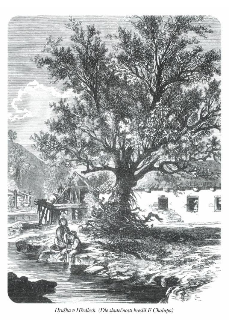 Povodně 1872 (2) Povodně 1872 (2)